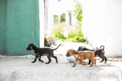 TraceyBuycePhotography413